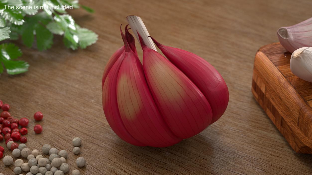 3D Half Head of Garlic Red model