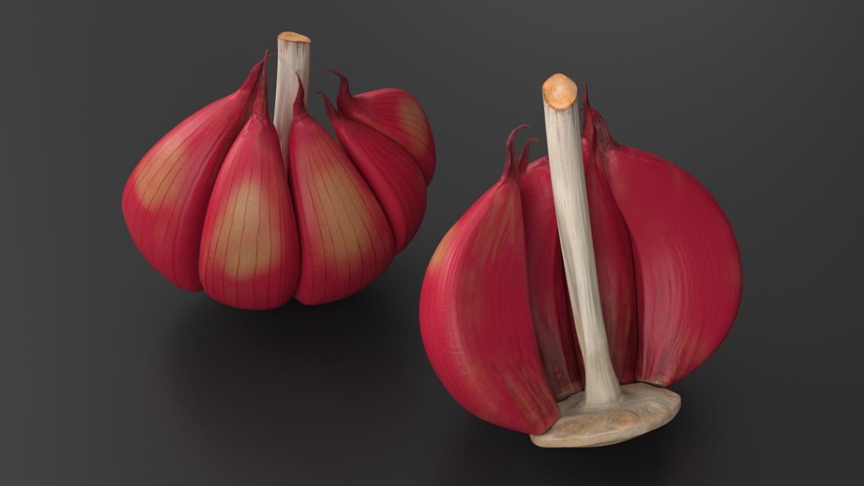 3D Half Head of Garlic Red model