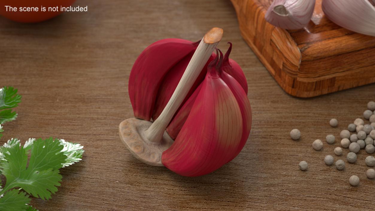 3D Half Head of Garlic Red model