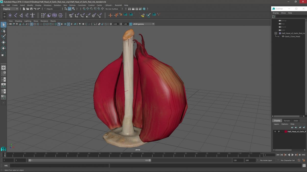 3D Half Head of Garlic Red model