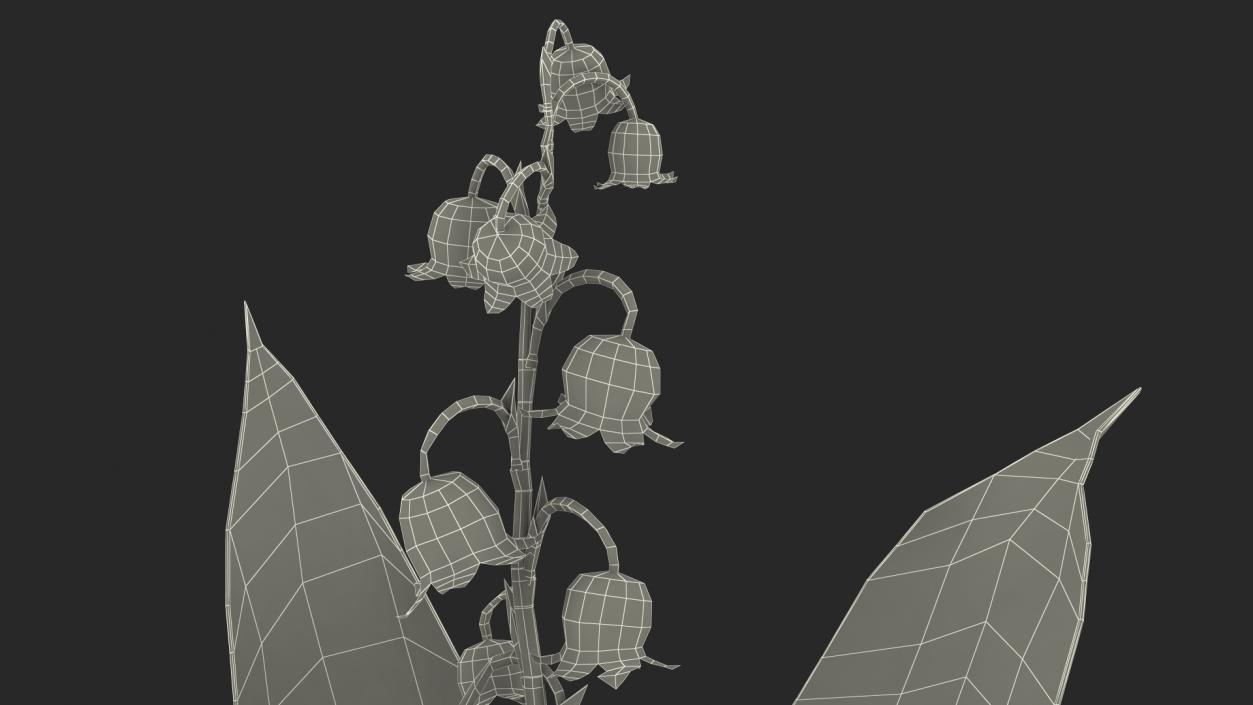 3D model Lily of the Valley Branch