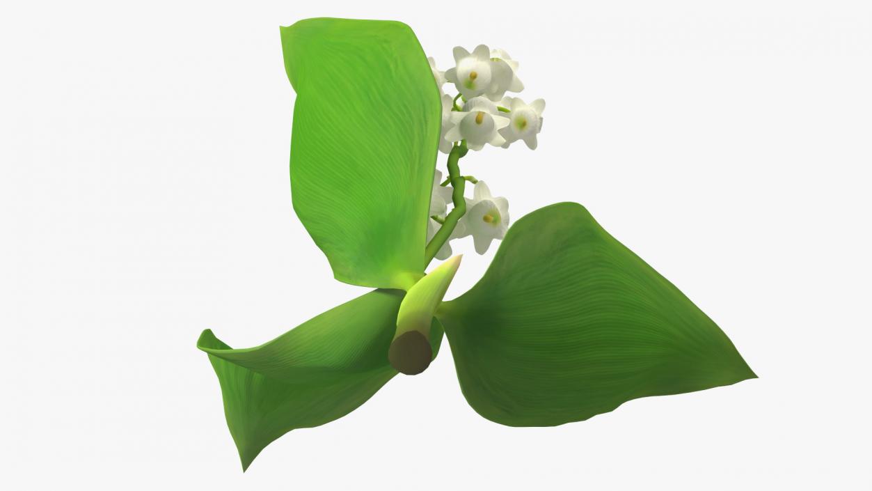 3D model Lily of the Valley Branch