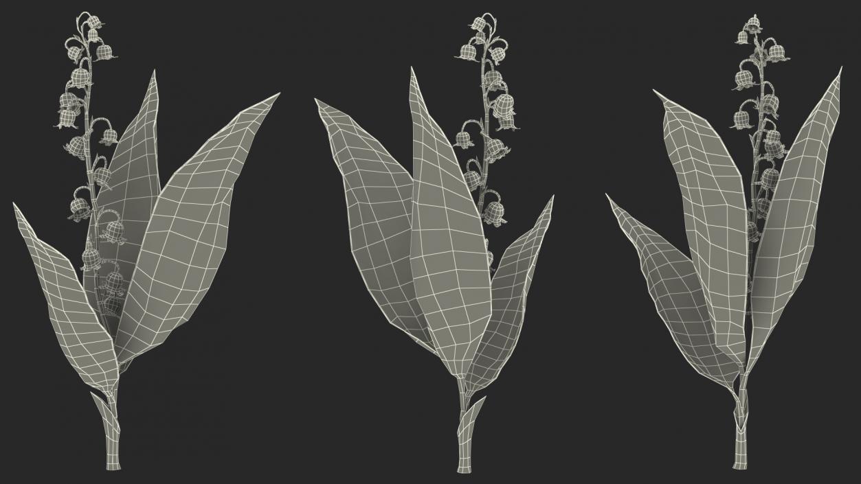 3D model Lily of the Valley Branch