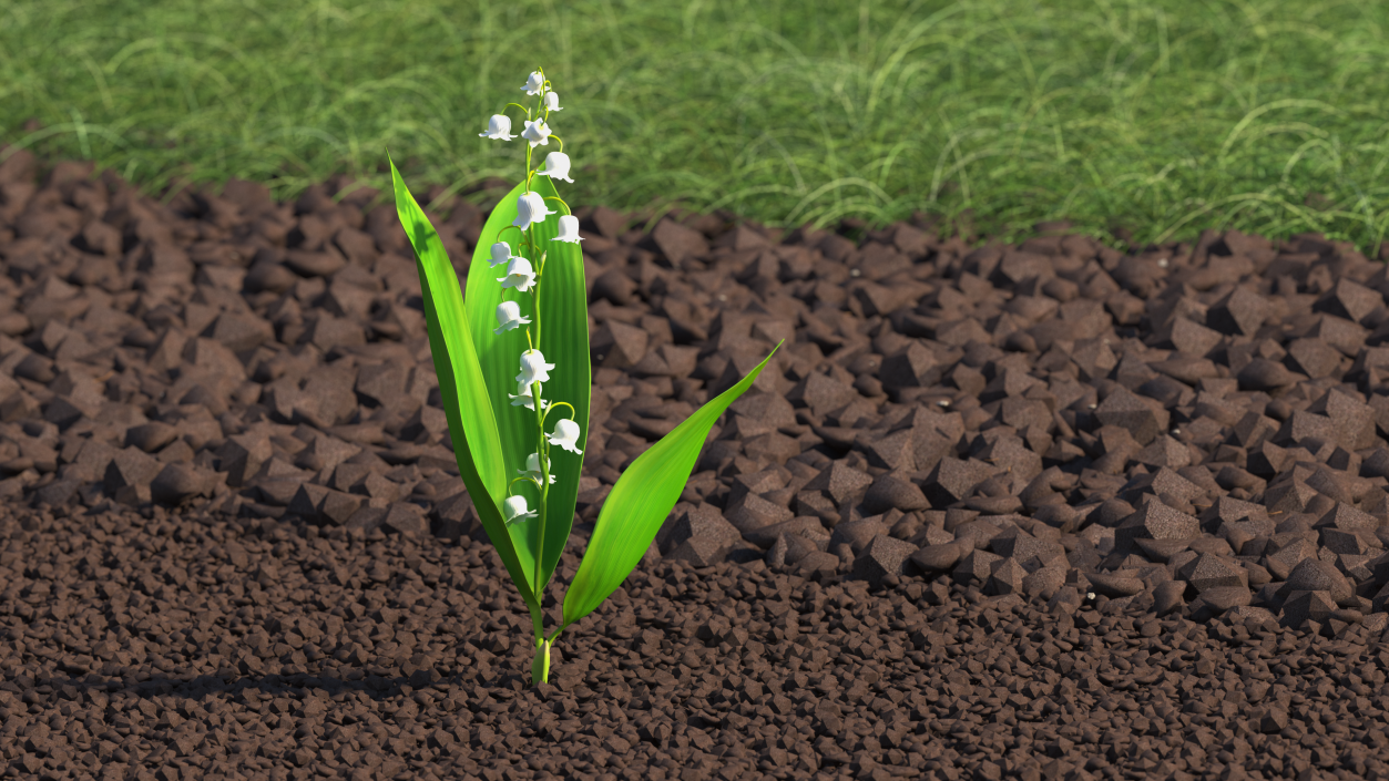 3D model Lily of the Valley Branch