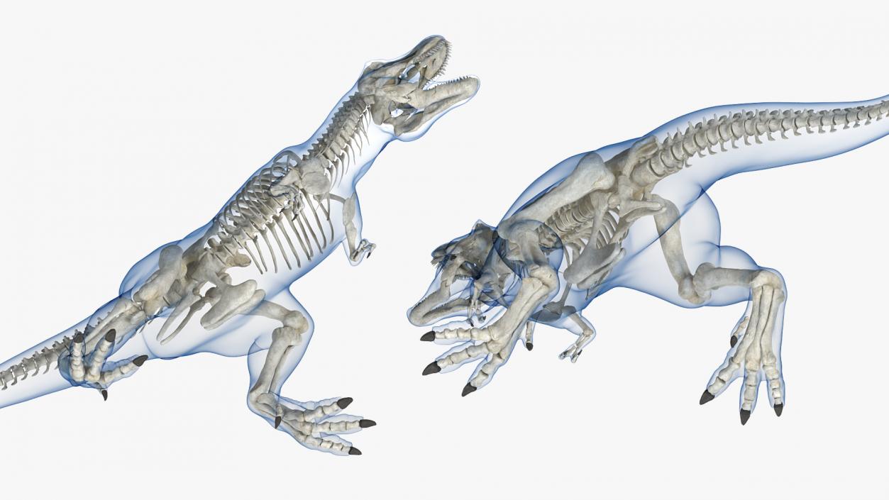 3D model Tyrannosaurus Rex Skeleton with Skin Standing Pose