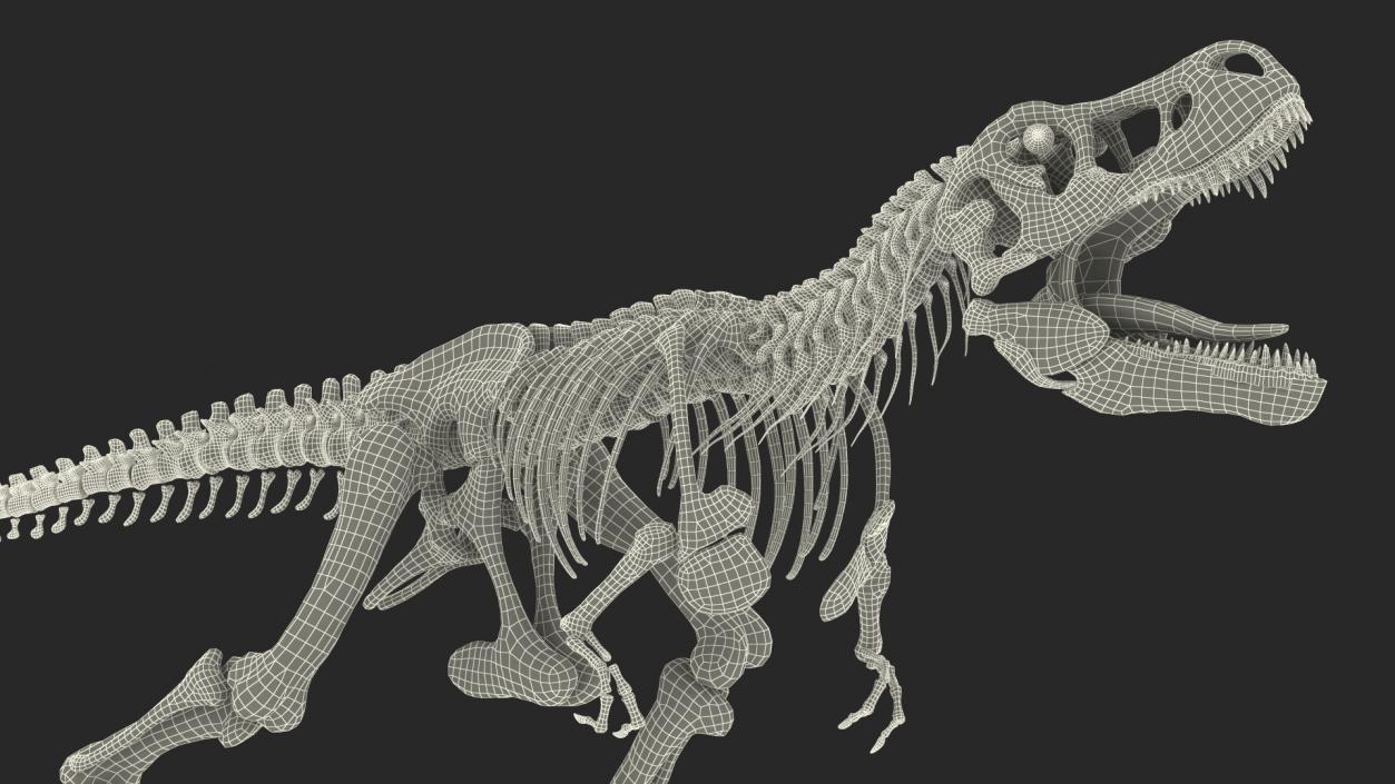 3D model Tyrannosaurus Rex Skeleton with Skin Standing Pose