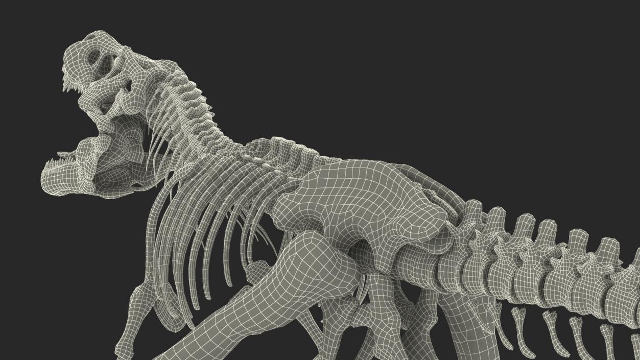 3D model Tyrannosaurus Rex Skeleton with Skin Standing Pose