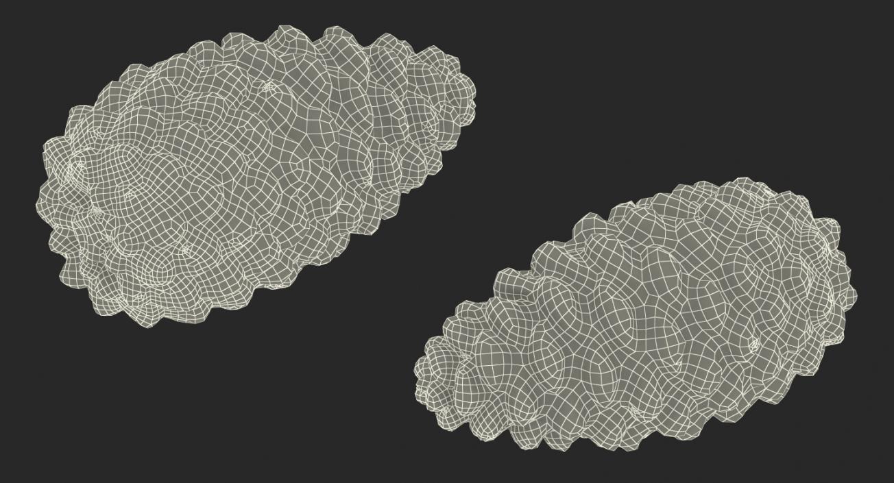 3D Closed Pine Cone