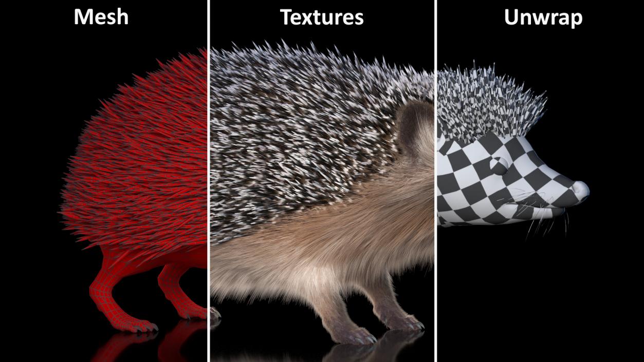 3D Hedgehog Black Fur model