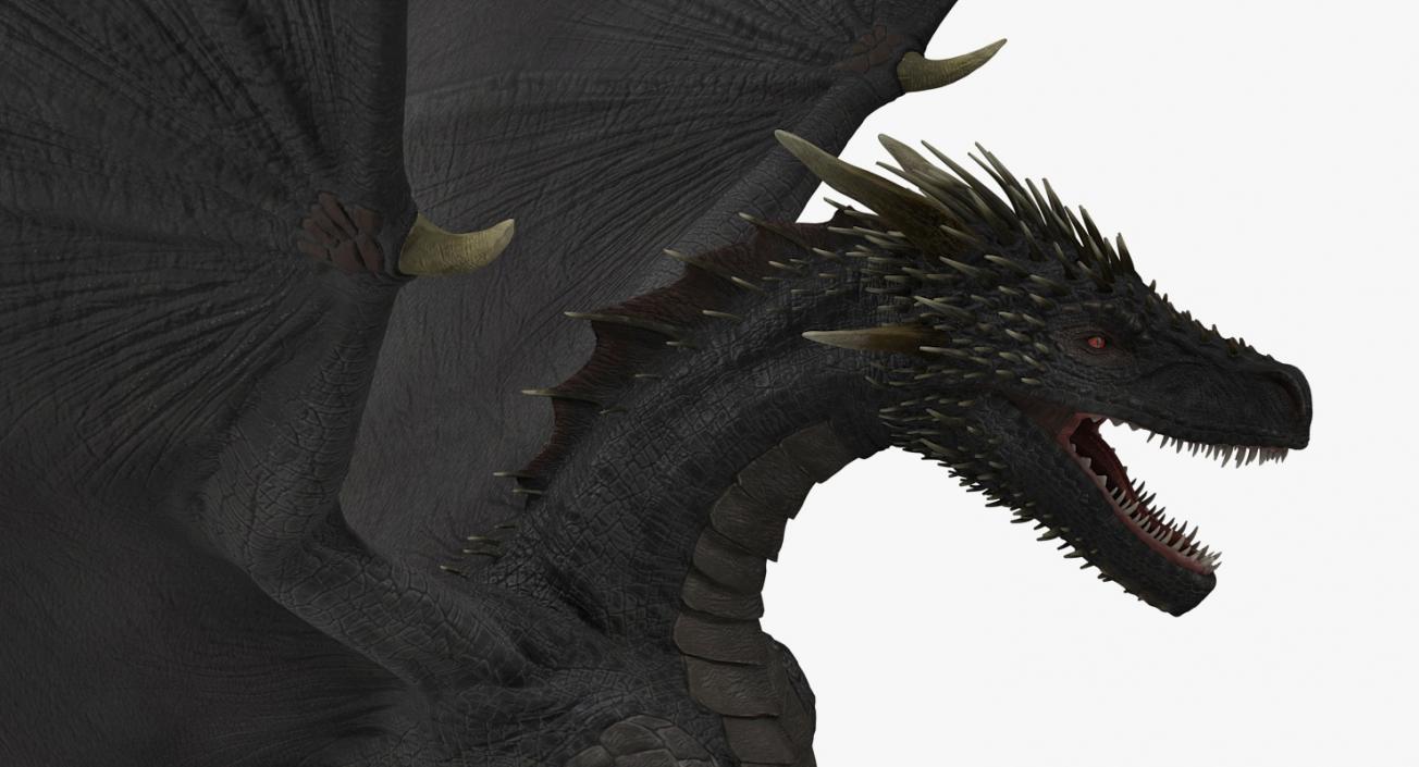 Black Dragon Flying 3D model