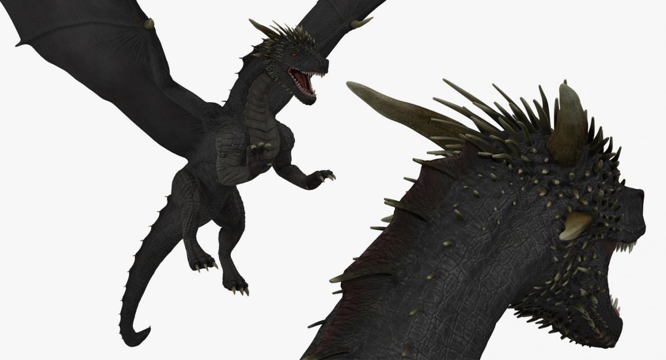 Black Dragon Flying 3D model