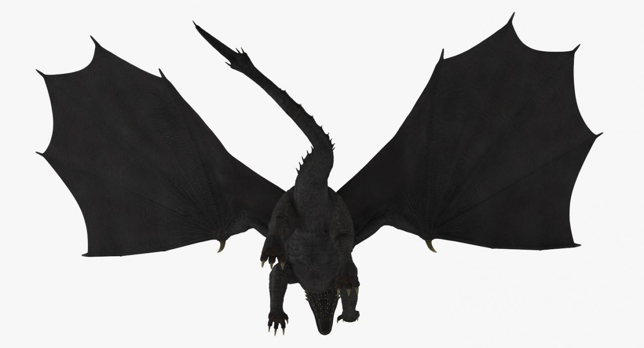 Black Dragon Flying 3D model