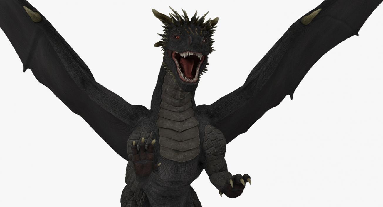 Black Dragon Flying 3D model