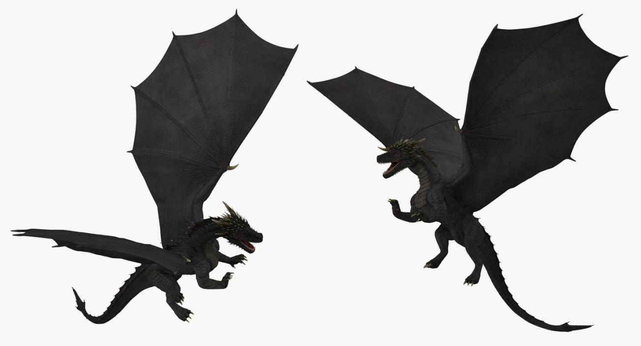 Black Dragon Flying 3D model