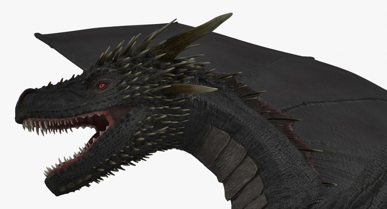 Black Dragon Flying 3D model