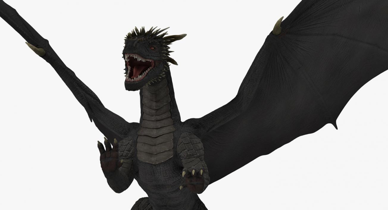 Black Dragon Flying 3D model