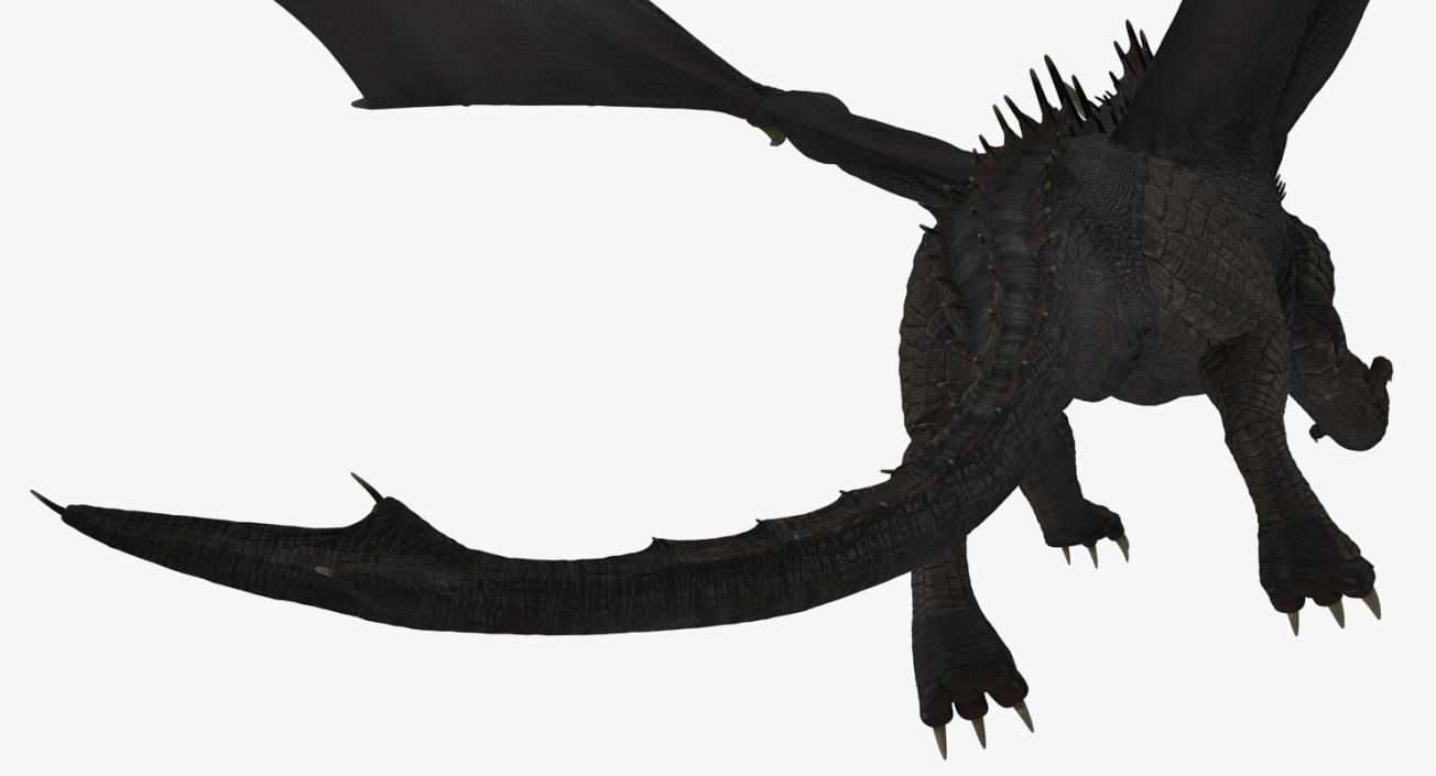 Black Dragon Flying 3D model