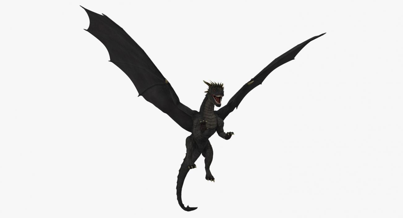 Black Dragon Flying 3D model