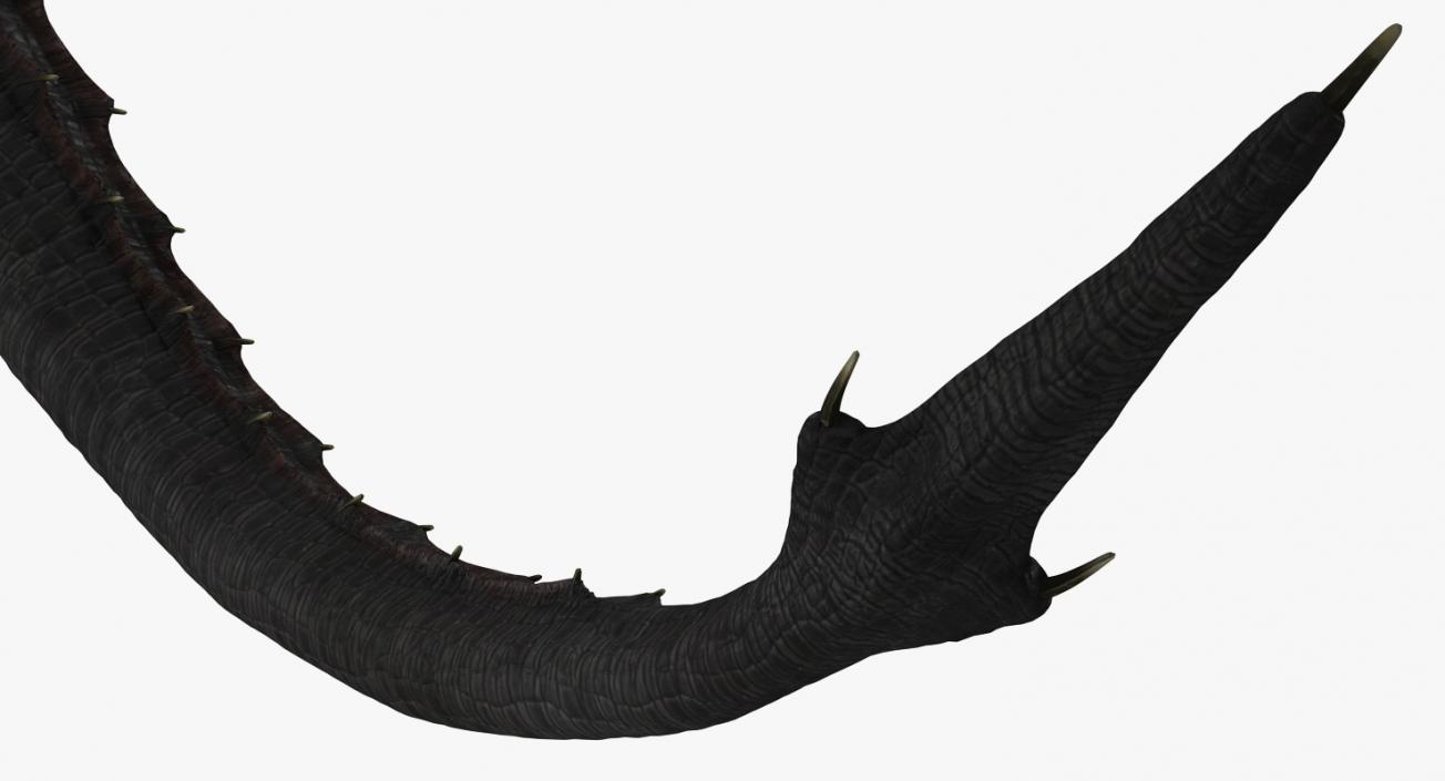 Black Dragon Flying 3D model