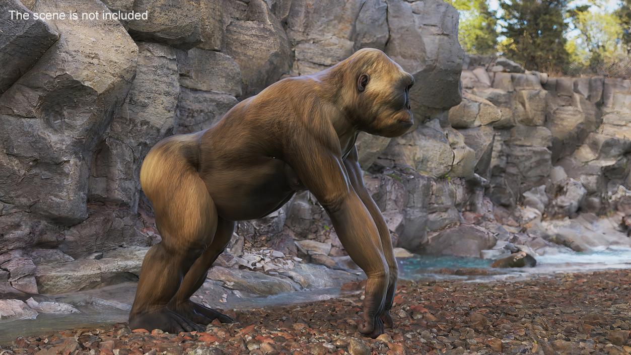 Big Ape Gigantopithecus Stands on Four Limbs 3D model