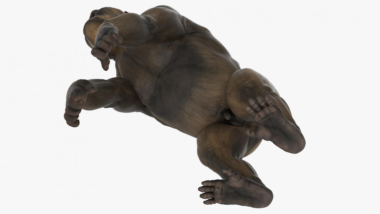 Big Ape Gigantopithecus Stands on Four Limbs 3D model