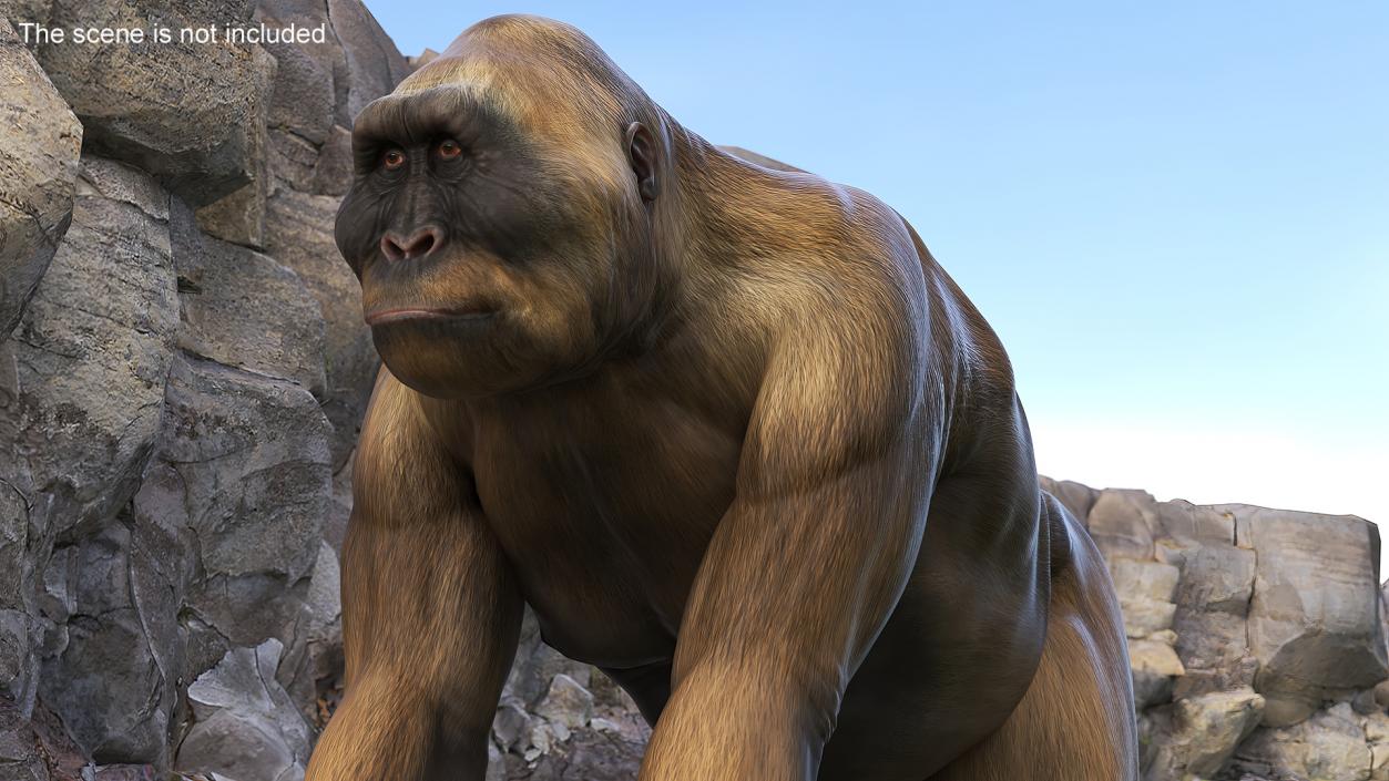 Big Ape Gigantopithecus Stands on Four Limbs 3D model