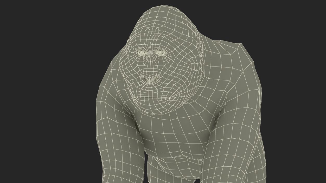 Big Ape Gigantopithecus Stands on Four Limbs 3D model