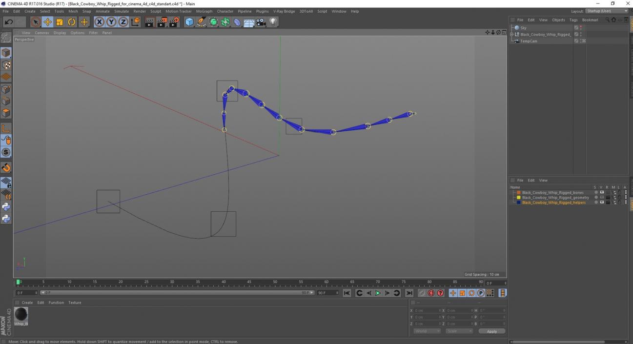 3D Black Cowboy Whip Rigged for Cinema 4D model