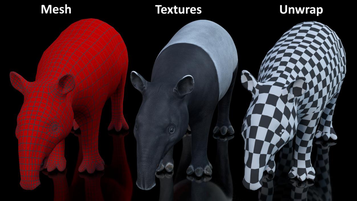 3D model Rigged South American Mammals Collection