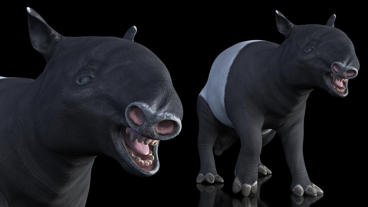 3D model Rigged South American Mammals Collection