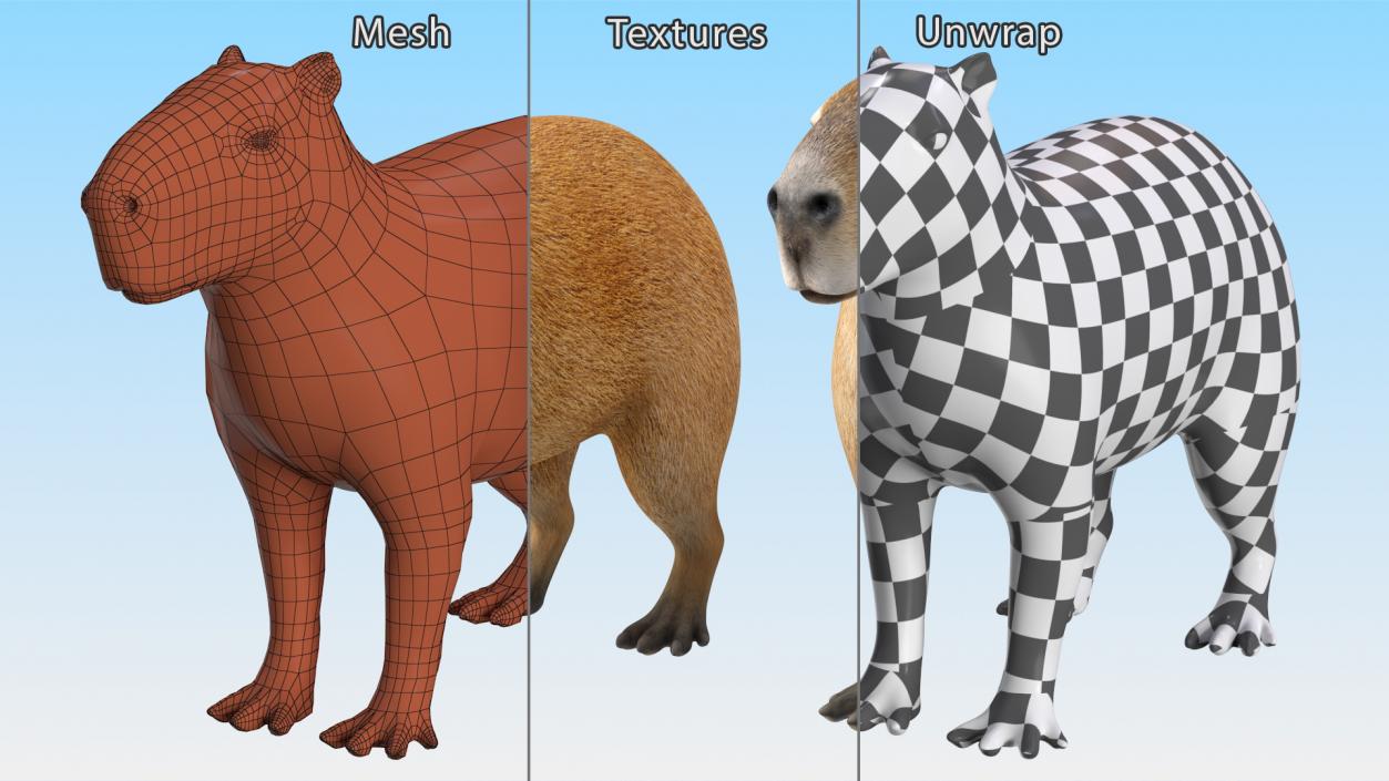 3D model Rigged South American Mammals Collection