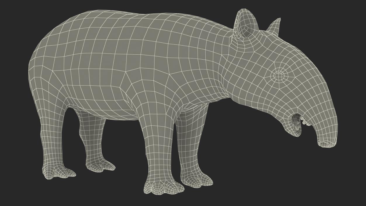 3D model Rigged South American Mammals Collection