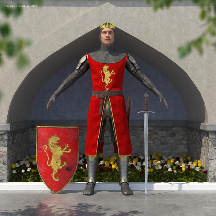 3D Crusader Knight King T-Pose Set