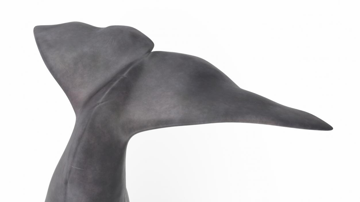 Whales Collection 3 3D model