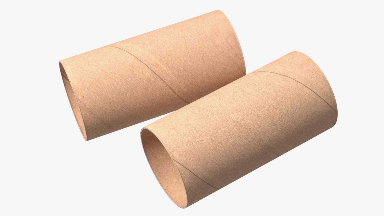 3D Toilet Paper Tubes model