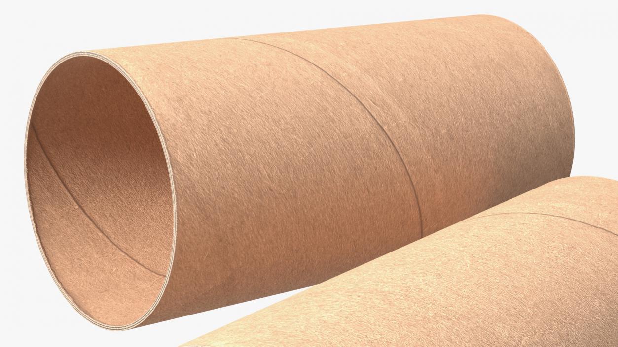 3D Toilet Paper Tubes model