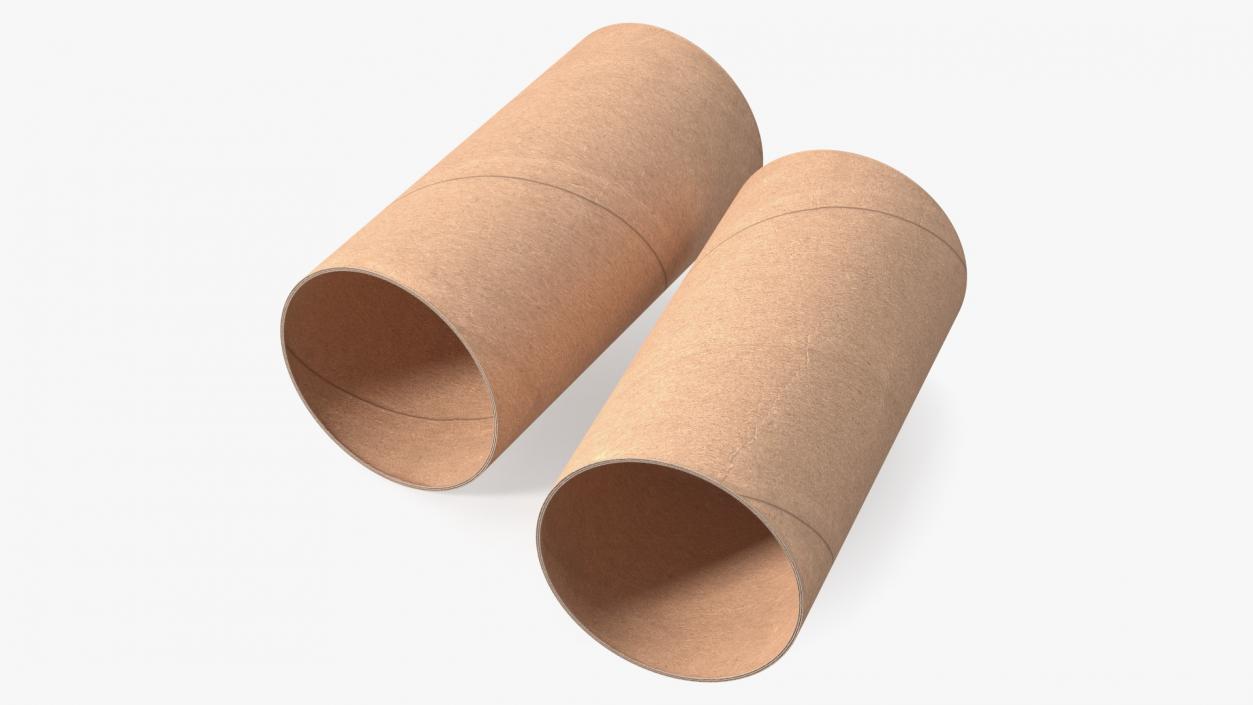 3D Toilet Paper Tubes model