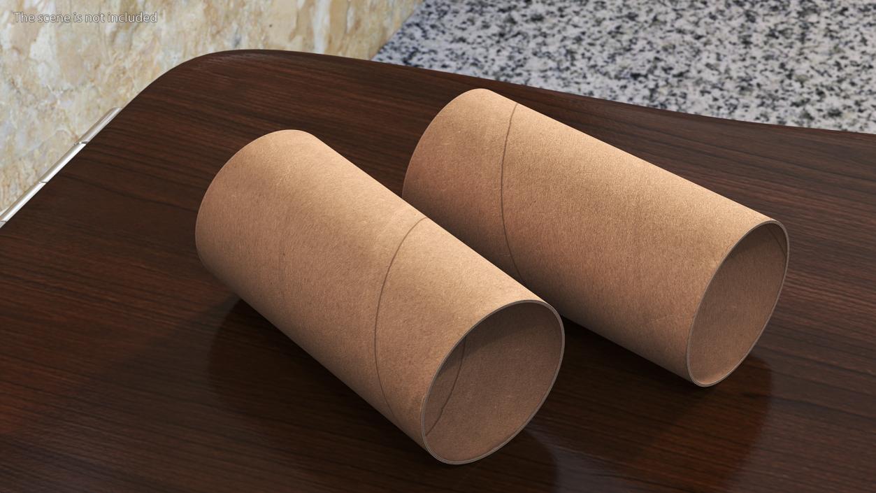 3D Toilet Paper Tubes model