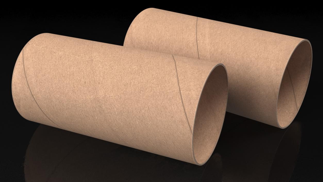 3D Toilet Paper Tubes model