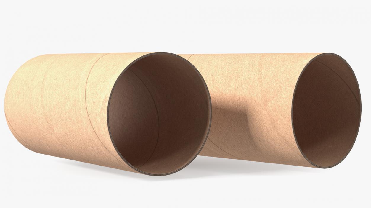 3D Toilet Paper Tubes model