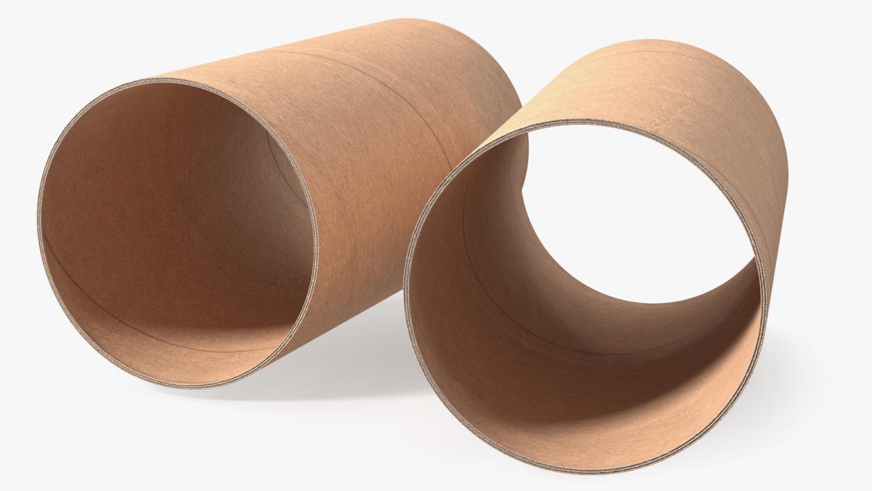 3D Toilet Paper Tubes model