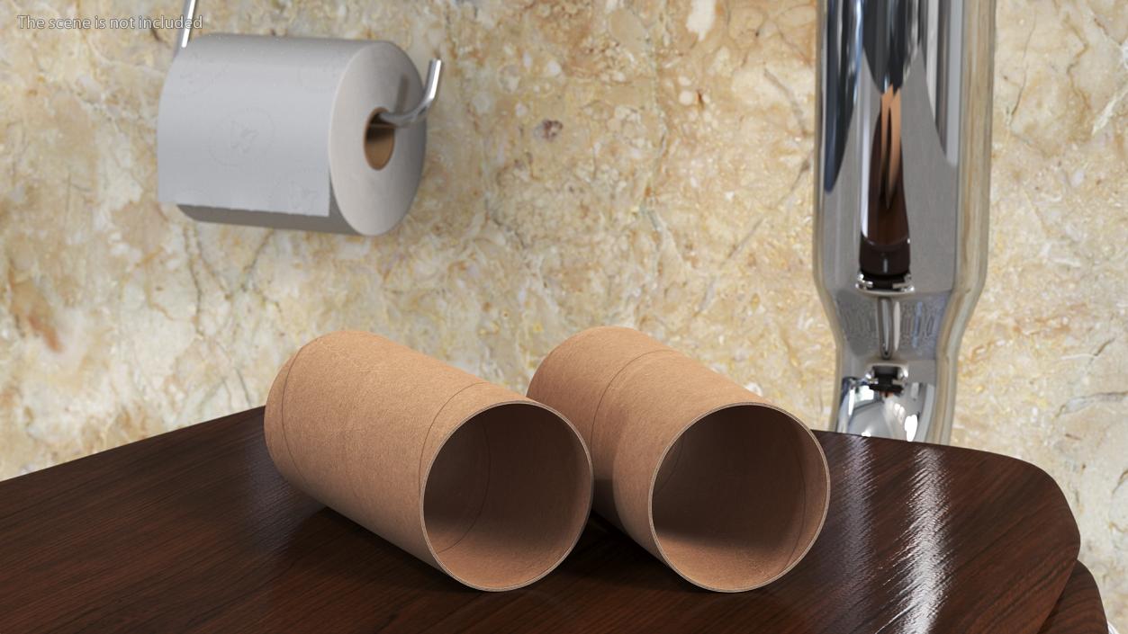 3D Toilet Paper Tubes model