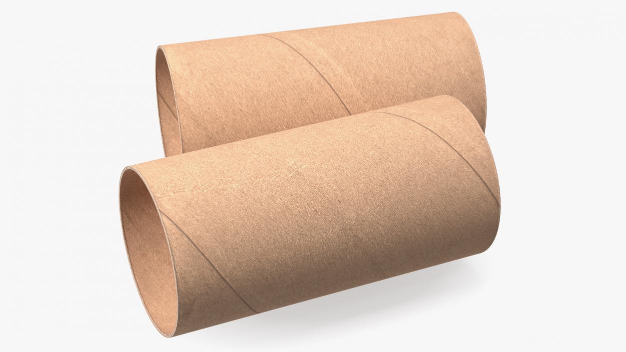 3D Toilet Paper Tubes model