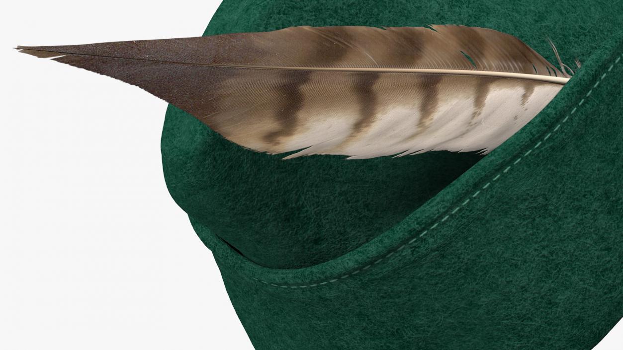 3D Robin Hood Cap with Feather Green model