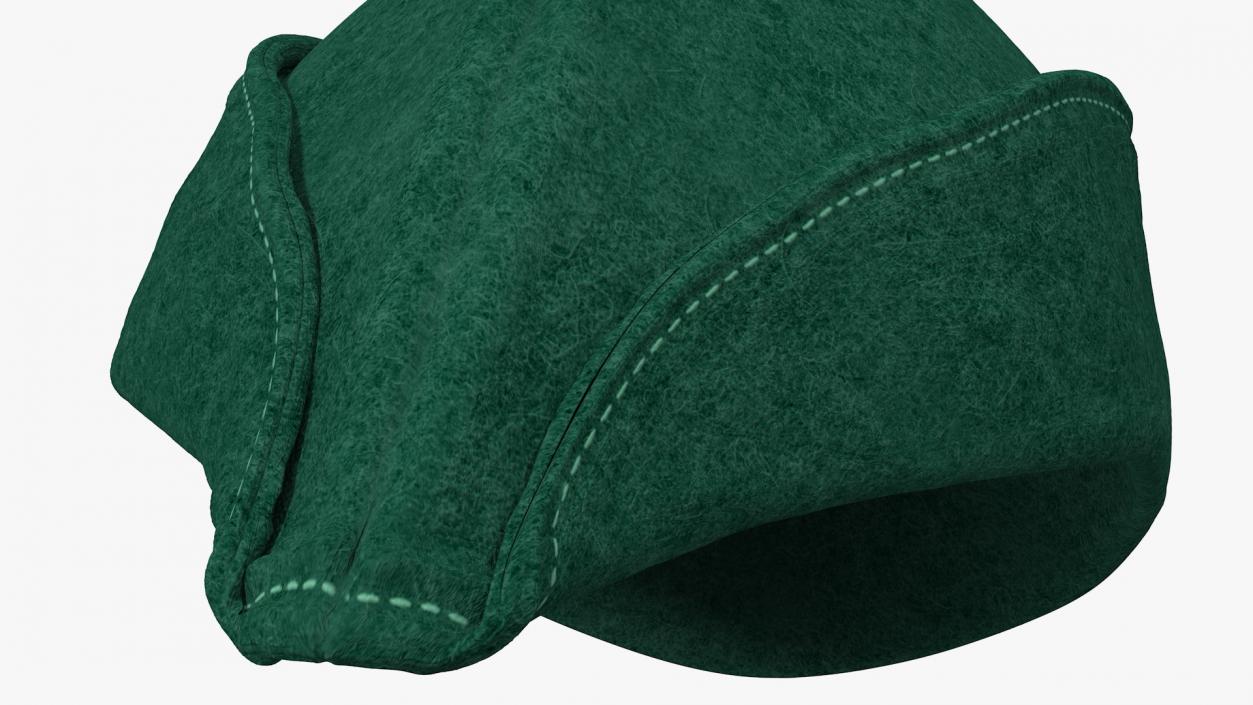 3D Robin Hood Cap with Feather Green model