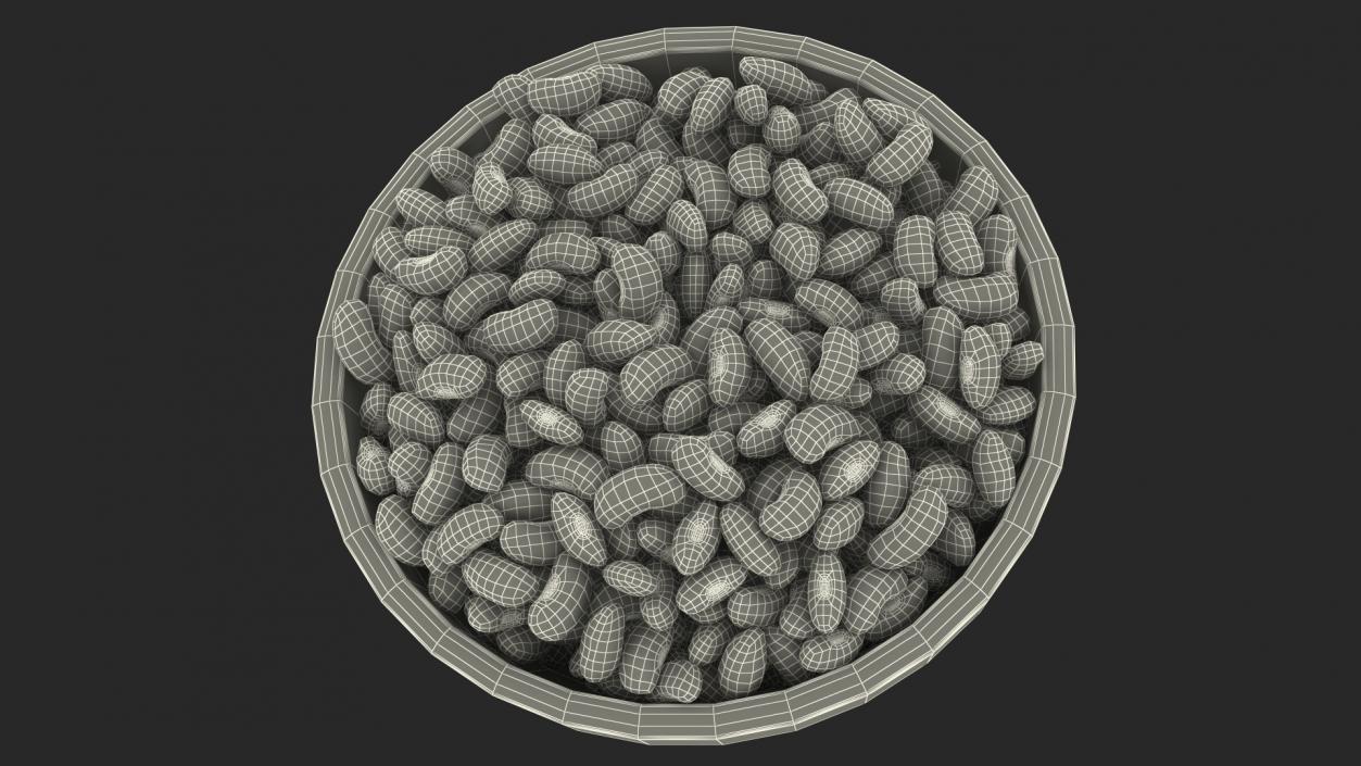 Black Turtle Beans on a Plate 3D model