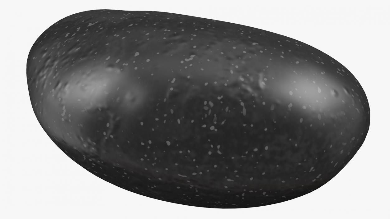 Black Turtle Beans on a Plate 3D model