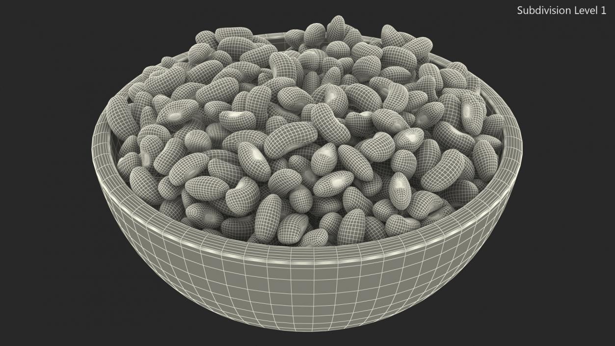 Black Turtle Beans on a Plate 3D model