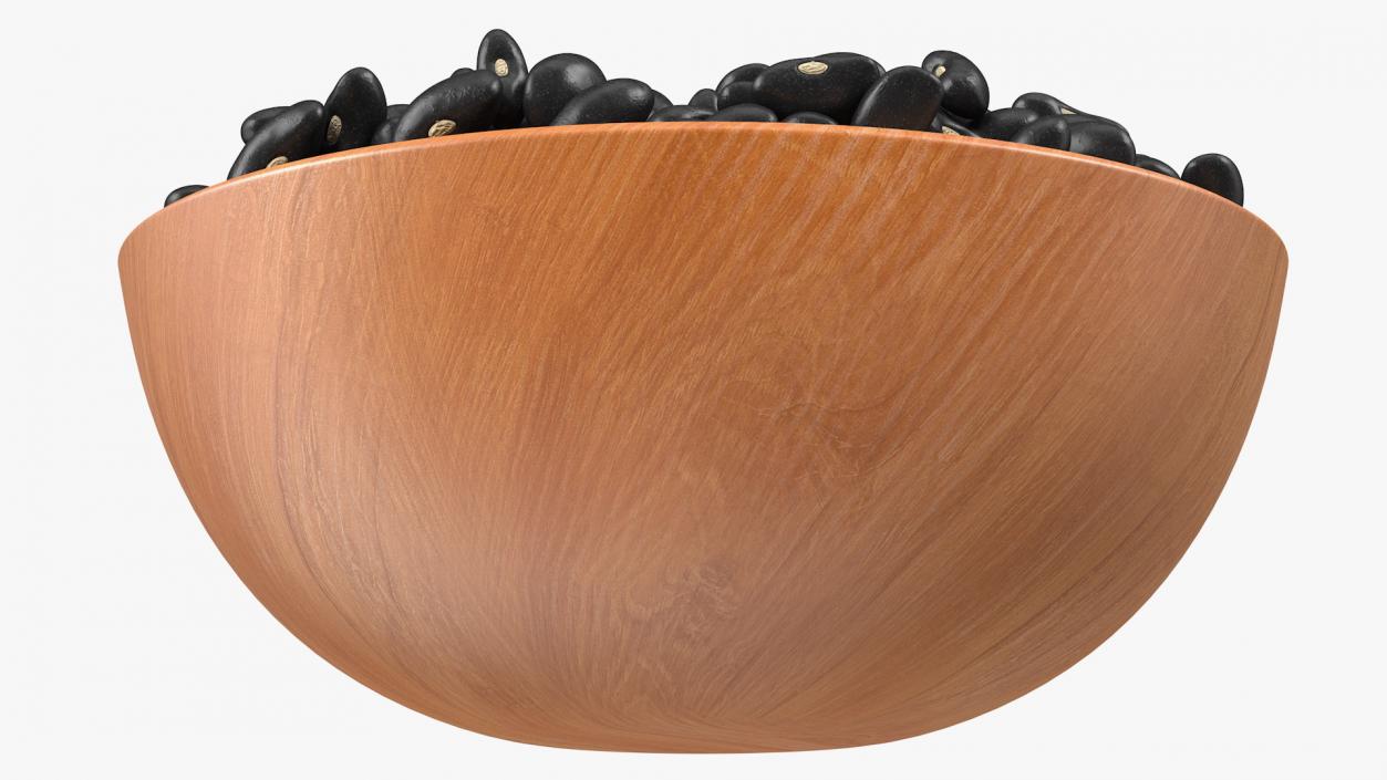 Black Turtle Beans on a Plate 3D model