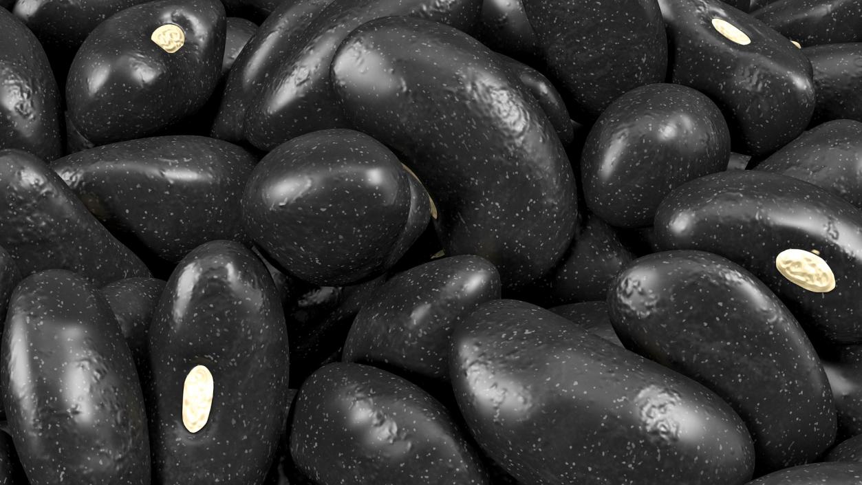 Black Turtle Beans on a Plate 3D model